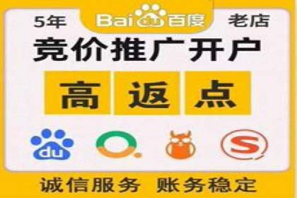 竞价排名广告投放案例